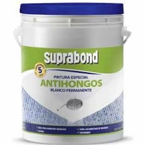 pintura-especial-antihongos-4lts