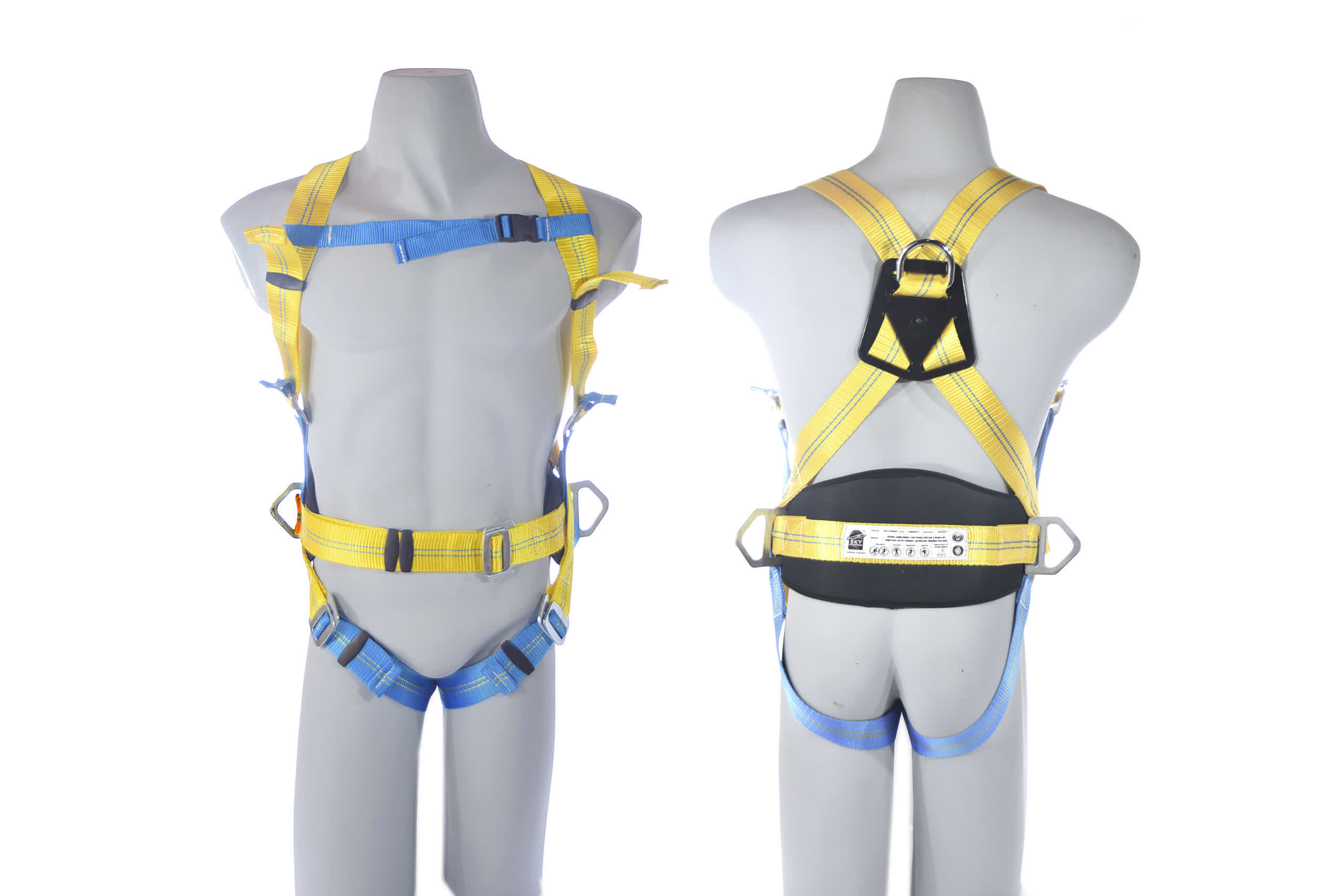 arnes-anticaida-toma-dorsal-protlumbar